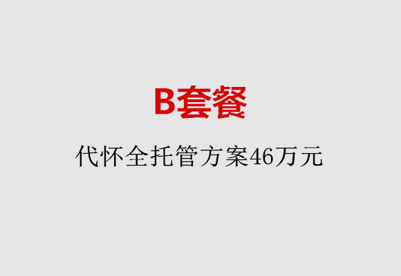 济南B套餐：代怀全托管方案46万元